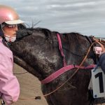 Le projet "Lâchez les Chevaux" est un programme ambitieux qui vise à faire découvrir le monde du Trot à des jeunes issus des quartiers prioritaires de Toulouse, avec pour objectif final de réaliser un documentaire de 52 minutes sur le Grand Prix d'Amérique, l'une des courses les plus prestigieuses du monde équestre. Ce documentaire, qui sera réalisé par les jeunes eux-mêmes, sera un véritable témoignage de leur immersion dans l'univers des courses de trot, depuis les hippodromes de province jusqu'à l'hippodrome de Vincennes, où se déroule le Grand Prix d'Amérique.